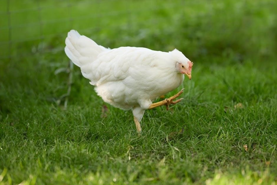marie callender’s chicken pot pie instructions marie callender’s chicken pot pie instructions